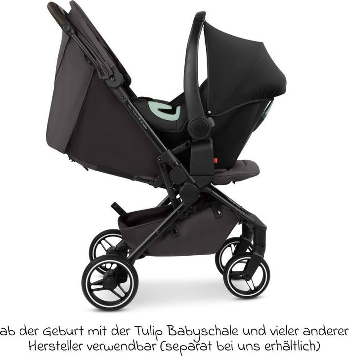 Produktbild ABC Design Ping 3 Trekking Buggy - Reisebuggy ab 6 Monaten bis 22 kg