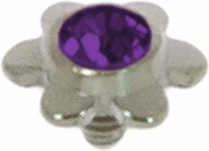 Immagine prodotto Bijouteria Chiusura Dermal-Anchor (Vetro (di orologio), Titanio)