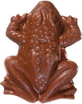 Actual product image Jelly Belly Chocolate Harry Potter Choclate Frog 15 g (15 g)