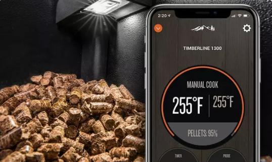 Produktbild Traeger Pelletsensor