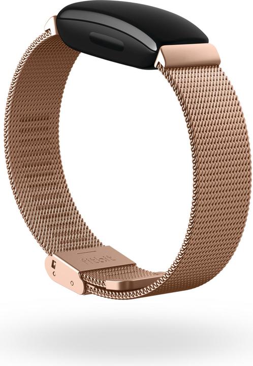 Produktbild Fitbit Inspire 2 Metallgeflecht-Armband (Metall)