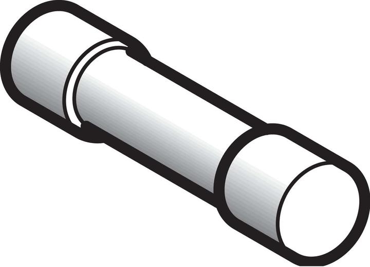 Schneider Electric Sicherungseinsatz NFC 10x38mm DF2CA04 (Zylindersicherung, 4 A)