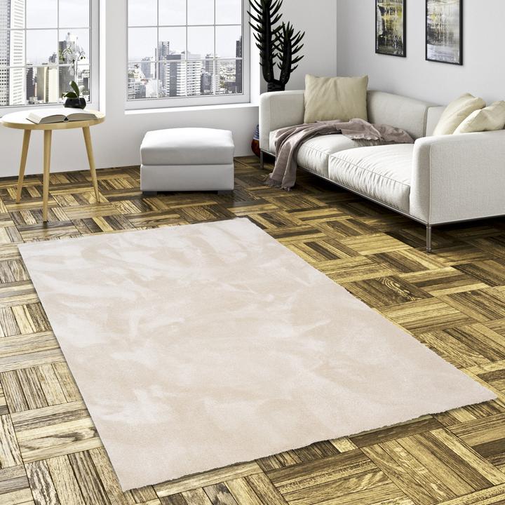 Actual product image Snapstyle Super Soft Hochflorteppich Livorno (100 x 300 cm)