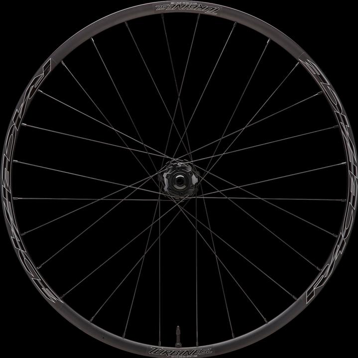 Actual product image Race Face Turbine-SL 25 MTB CLN Rear Wheel 12X157-SHI Micro (Rear wheel, 29")