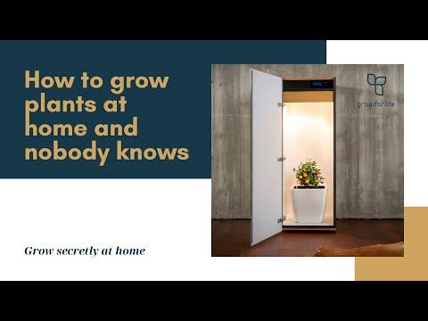 Actual product image Growfor.life Plant cabinet