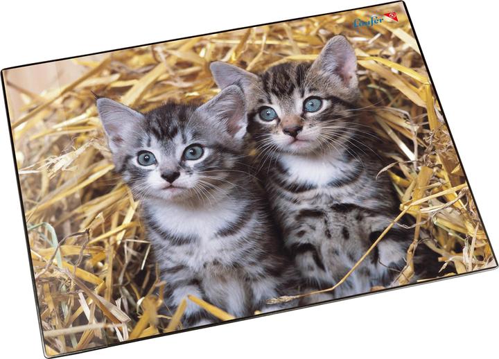 Immagine prodotto Läufer Motivo 40x53 gatto/paglia (53 x 40 cm)