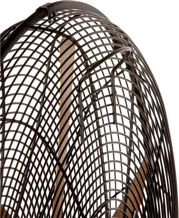 Immagine prodotto Domo Ventilatore