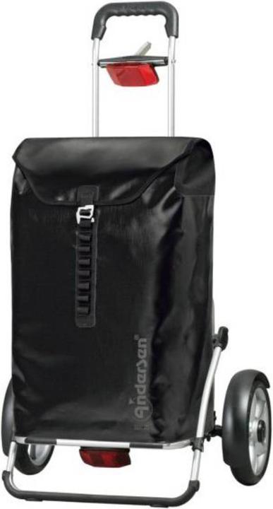 Andersen Bike-Shopper Plus Ortlieb Luftbereifung