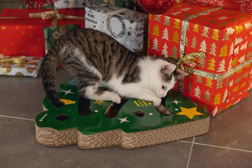 Produktbild Beeztees Weihnachts Kratzspielzeug (Kratzspielzeug Katze)