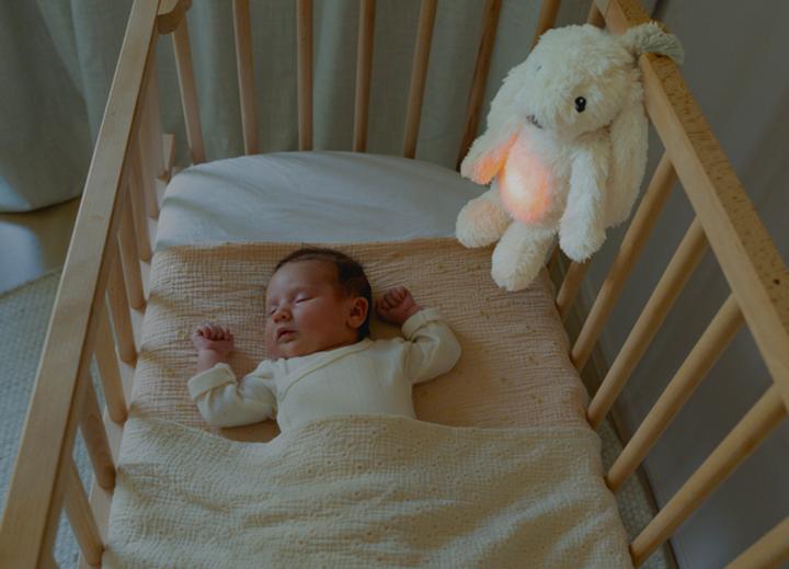 Actual product image ZaZu RO the Rabbit White
