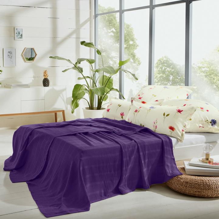 Actual product image Erwin Müller Summer blanket (220 x 240 cm)