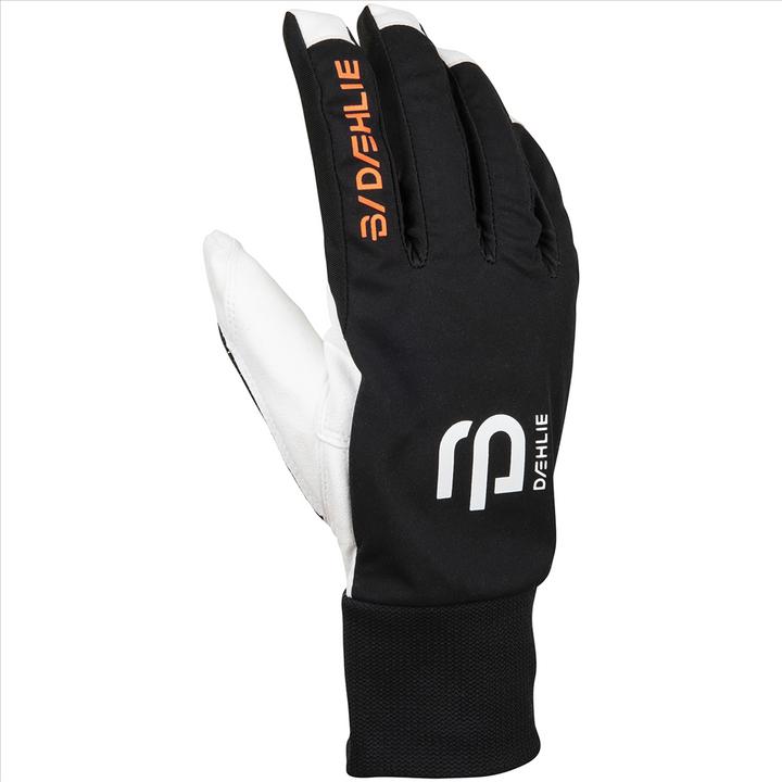 Daehlie M Glove Race