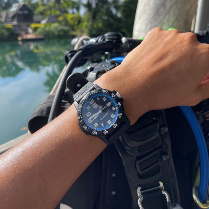 Image du produit Luminox Leatherback Sea Turgle Gian 0320 Series (Montre analogique, 44 mm)