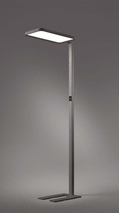 Actual product image Hansa Floor Lamp Sapphire LED Anthracite (7500 lm)