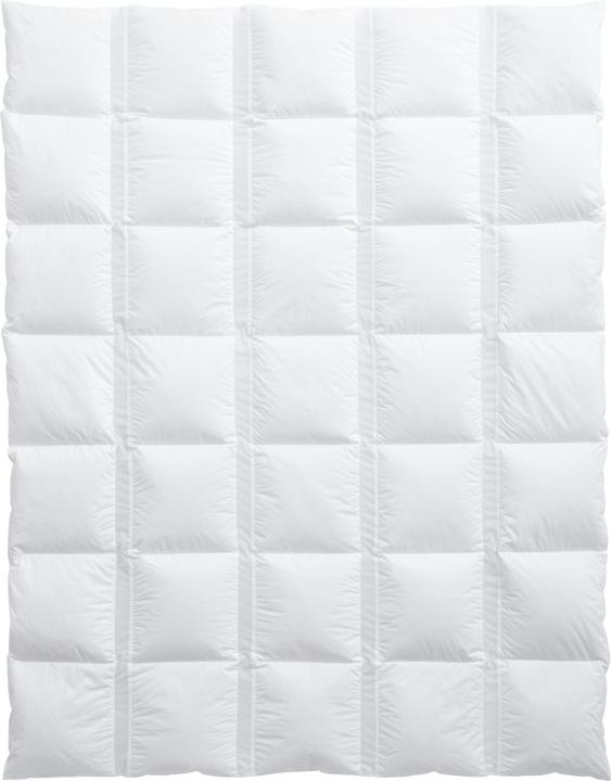 Produktbild Billerbeck Climabalance Classic (600 g, 160 x 240 cm)