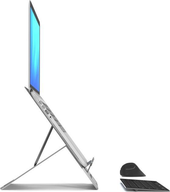 Standivarius Stand type