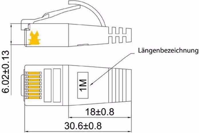 Productafbeelding Wirewin Netwerkkabel (STP, CAT6, 0.10 m)