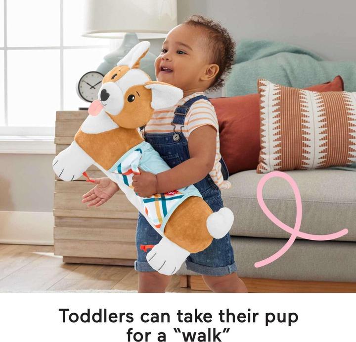 Actual product image Fisher-Price 3-in-1 doggie play cushion (Multilingual)