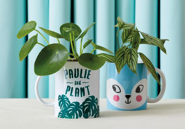 Actual product image Cricut Cup Infusible Ink
