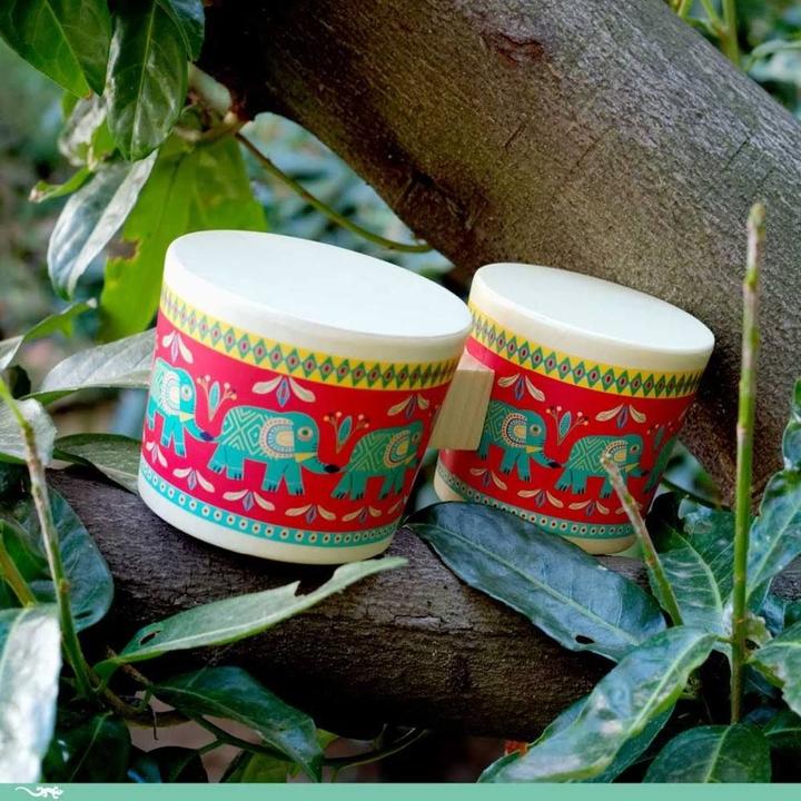 Actual product image Djeco Bongo