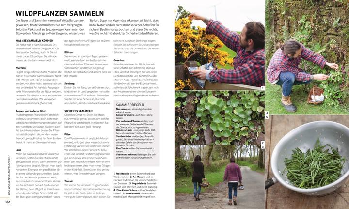 Actual product image Das grosse Buch der Selbstversorgung (German, James Strawbridge, 2021)