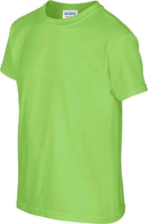 Actual product image Gildan Childrens/Kids Plain Cotton Heavy T-Shirt (152, 158)