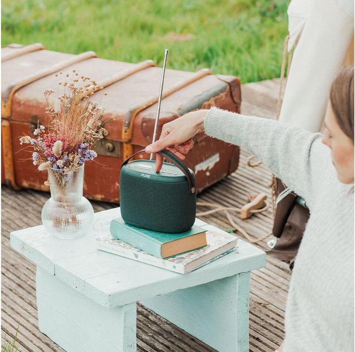 Image du produit Pure Woodland (14 h, Fonctionnement sur secteur, Fonctionnement sur piles)