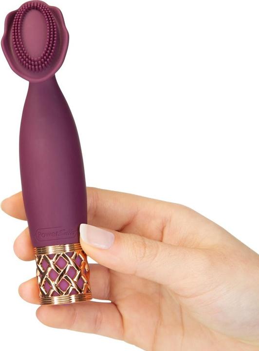 Image du produit Pillow Talk Secrets Passion Vibromasseur clitoridien Wine