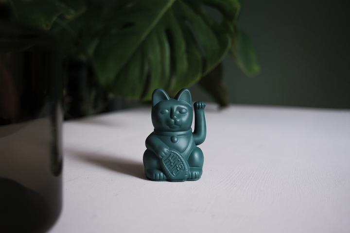 Immagine prodotto Donkey Products Gatto fortunato Mini