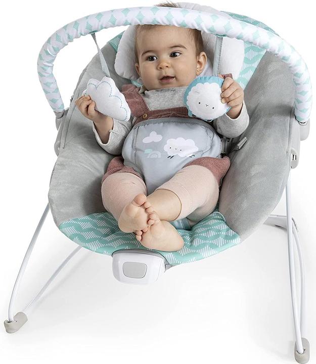 Actual product image Ingenuity Vibrating Baby Bouncer Deluxe