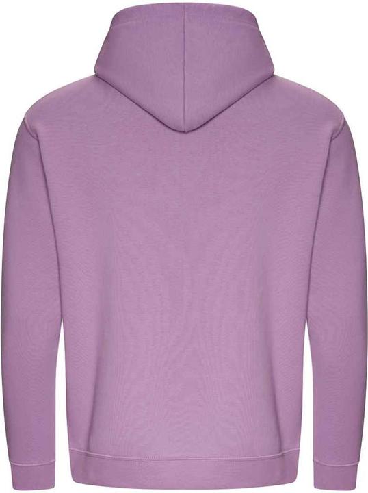 Actual product image Awdis Womens/Ladies Organic Cotton Hoodie (L)