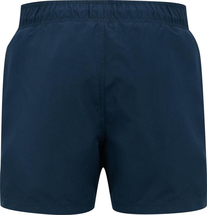 Actual product image Regatta Mens Mawson II Swim Shorts (S)