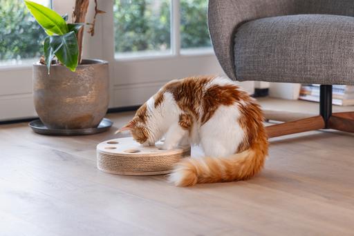 Actual product image Designed by Lotte Raya cat toy (Catmint toy)
