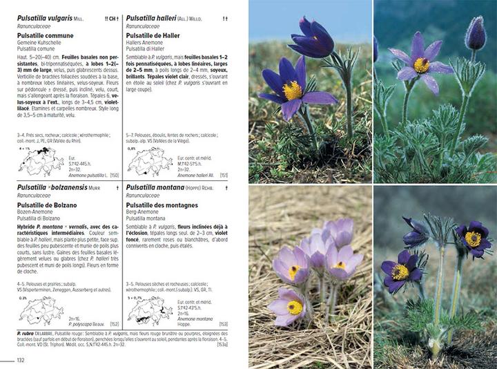 Image du produit Flora Helvetica - Flore illustrée de Suisse (Français, Andreas Gygax, Konrad Lauber, Gerhart Wagner, 2024)