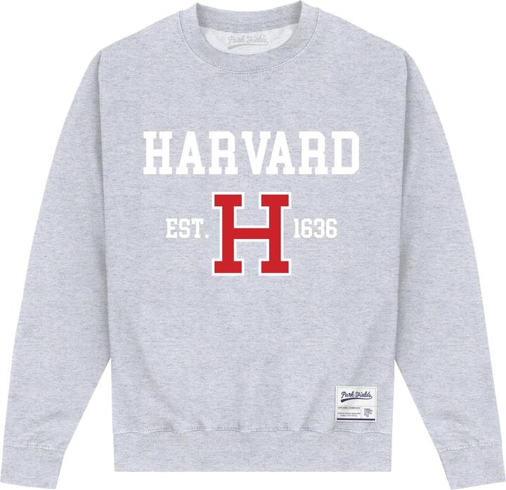 Unisex Adult Est 1636 Sweatshirt (S)
