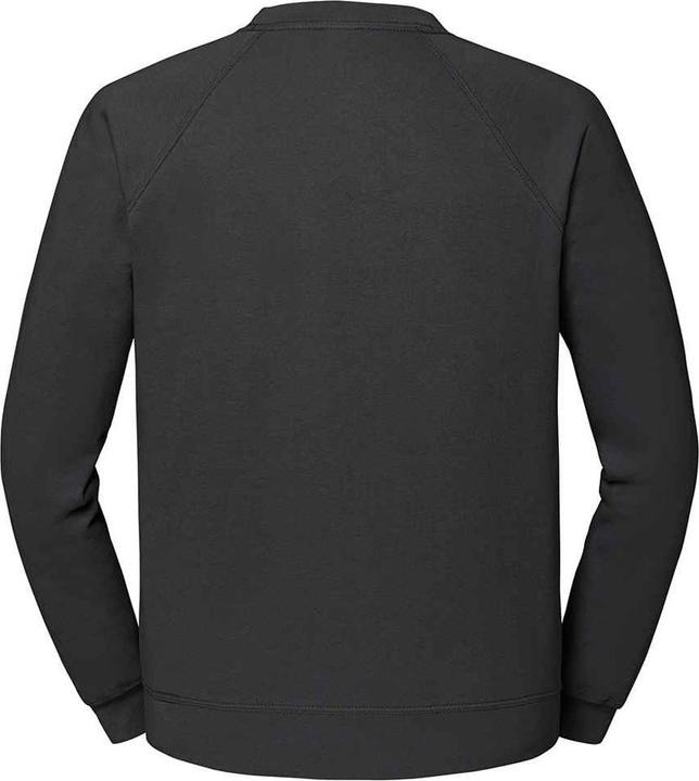 Image du produit Fruit of the Loom Sweat-shirt raglan classique pour adulte (L)