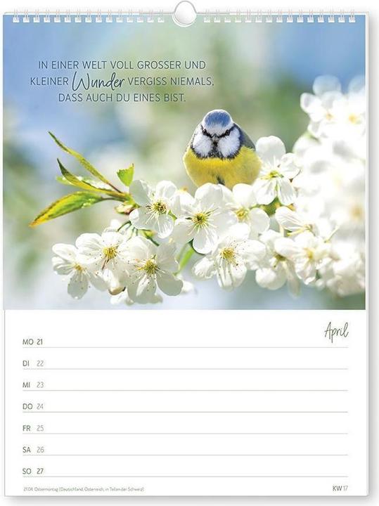 Produktbild Zeit für dich - Wochenkalender klein 2025 (18 x 24 cm, Deutsch)