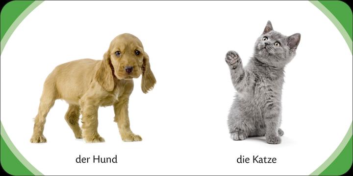 Produktbild Kennst du das? Meine bunte Kinderwelt (Deutsch, 2013)
