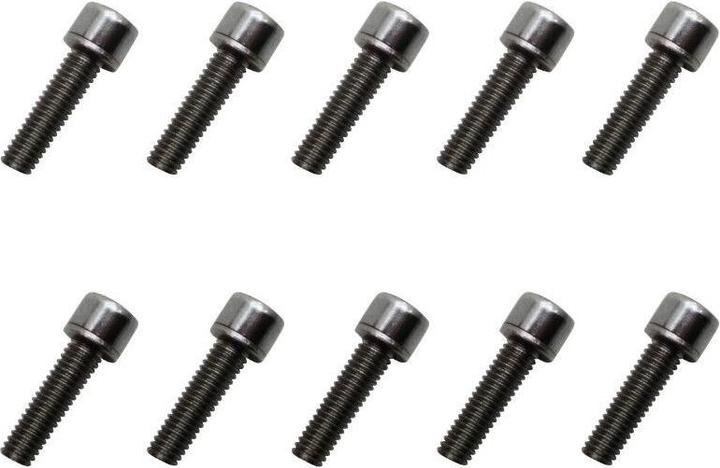 Actual product image P2R Set of 10 chrome plated stem screws (5 mm, 18 mm)