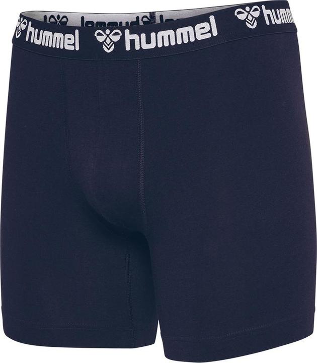 Image du produit hummel Hmlboxers 2-Pack (XXL)