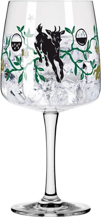Produktbild Ritzenhoff Ginglas Fabelkraft (7 dl, 1 x, Gin Gläser)