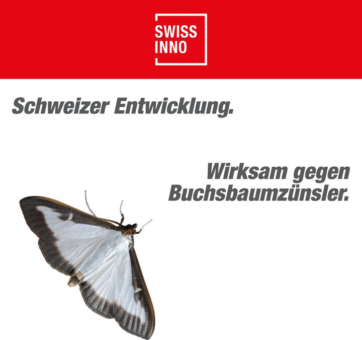 Actual product image Swissinno Buchsbaumzünsler-Falle inkl. 1x Pheromon