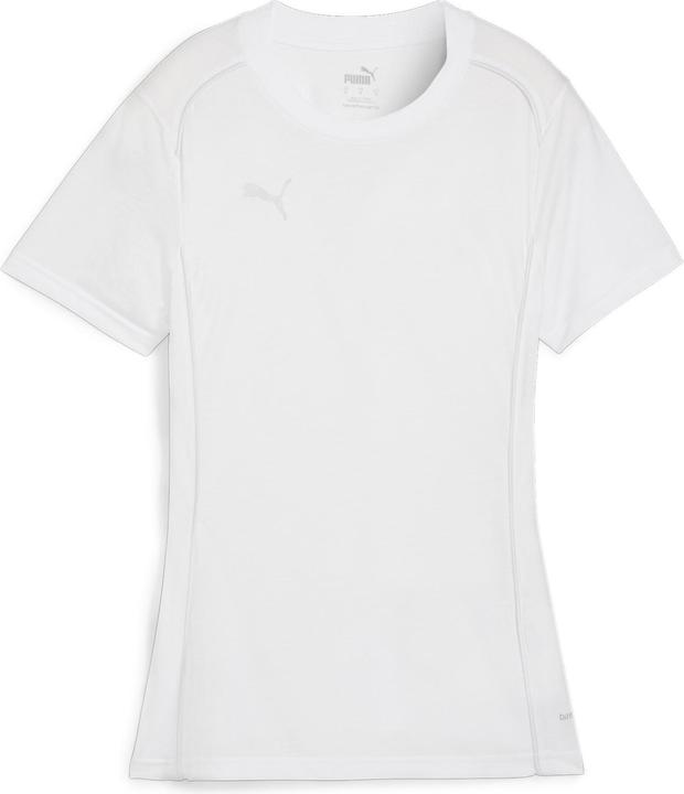 pumawhitepumasilver
