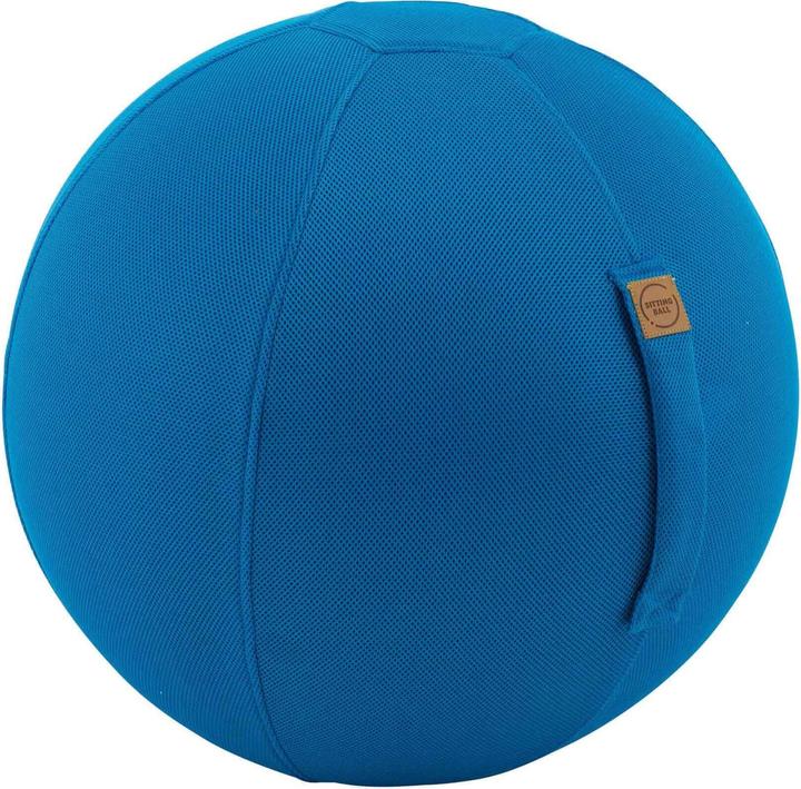 Magma Seat ball mesh petrol (65 cm)