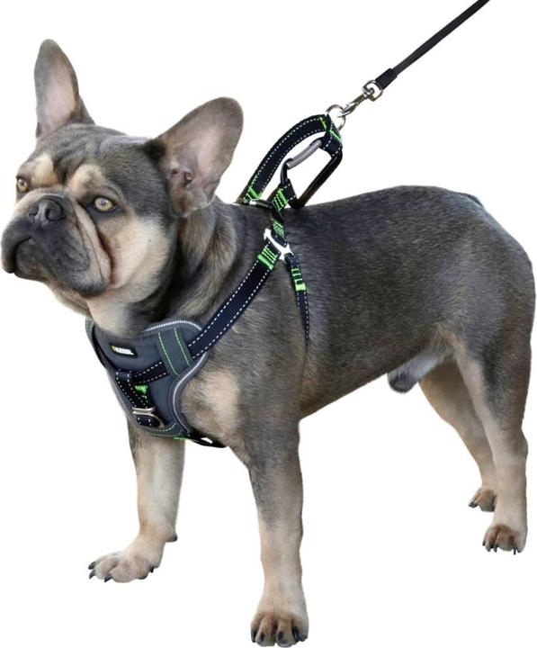 Produktbild Kerbl Autosicherheitsgeschirr (Hund, Sicherheitsverschluss)