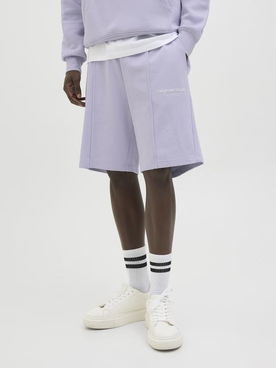 Image du produit Jack & Jones Jpstkane Vesterbro Sweat Shorts Lng Sn (XS)