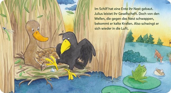 Actual product image Baby Nelson (unkaputtbar) 8: Unser Sandmännchen