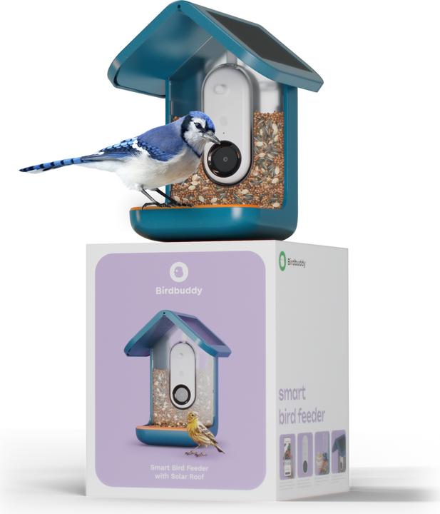 Actual product image Bird Buddy Food dispenser