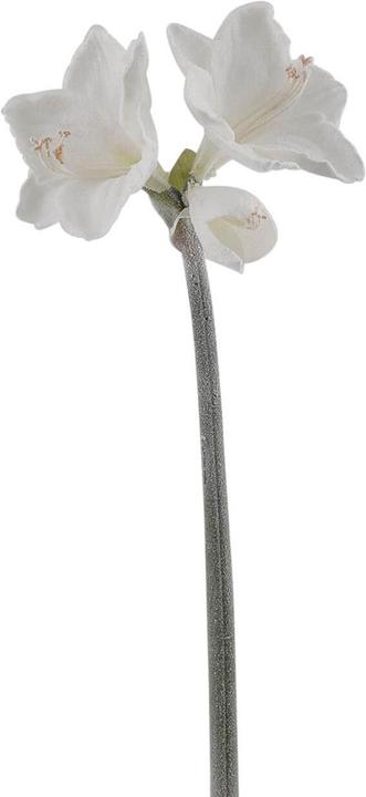 Produktbild Edg Kunstblume Amarylis Weiss