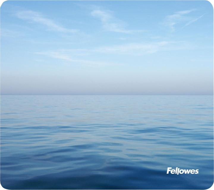 Fellowes Ozean (S)